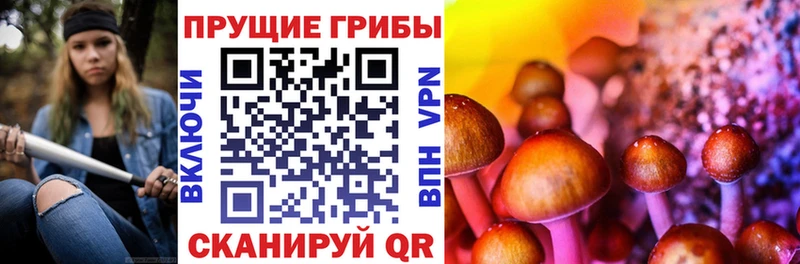гидра ONION  Коммунар  Галлюциногенные грибы мицелий  где можно купить  